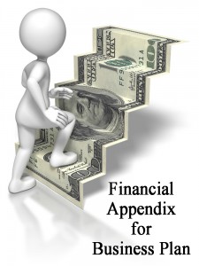 Financial Appendix for Business Plan kubassek.com